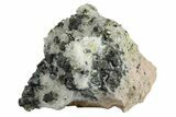 Chalcopyrite, Pyrite, Sphalerite and Quartz Association - Peru #173413-1